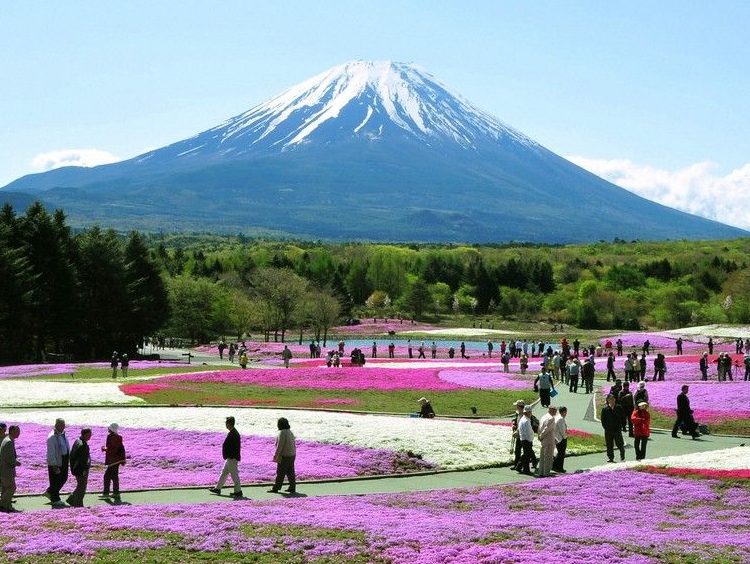 Biaya Liburan Ke Jepang Minim Budget - Bisa Jalan Jalan