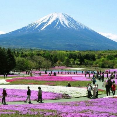 Japanese mountain fuji
